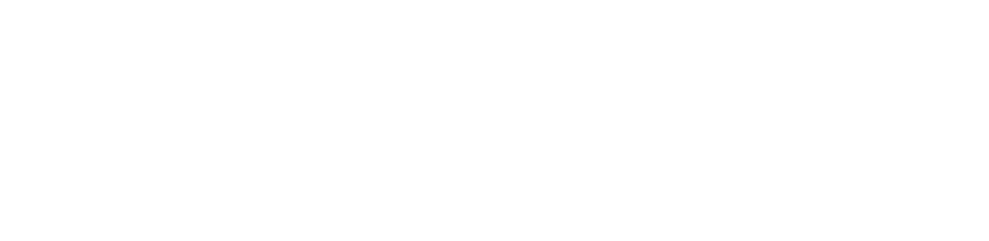 TONI3 Logo Wit